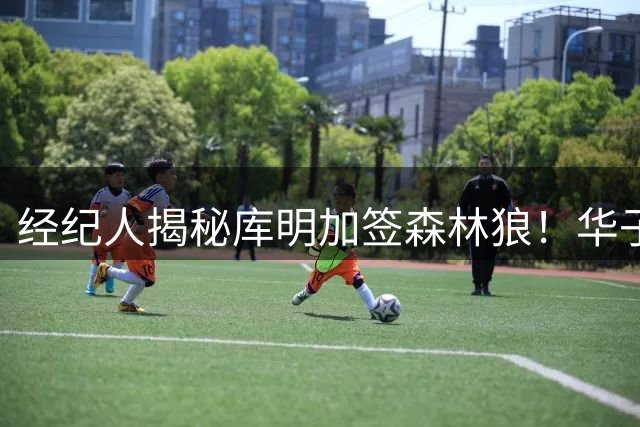 经纪人揭秘库明加签森林狼！华子招募内容曝光：我清楚你的实力